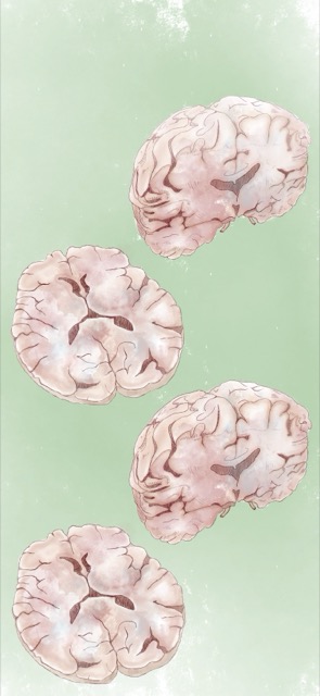 Brain-themed phone wallpaper option two