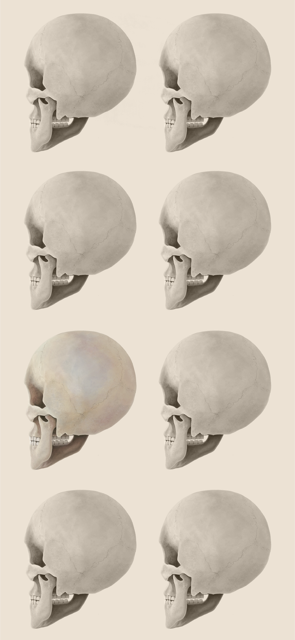 Skull-themed phone wallpaper option one