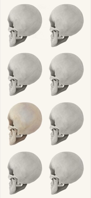 Skull-themed phone wallpaper option two